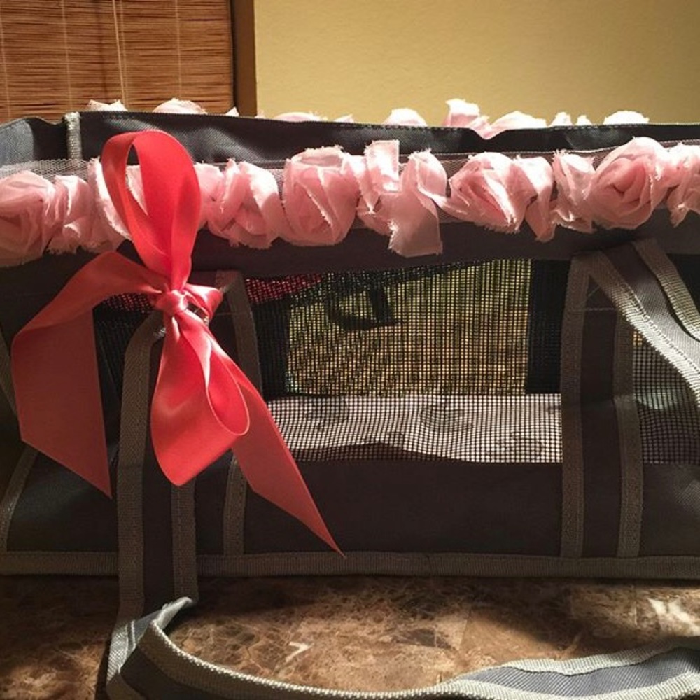 Customized dog tote!!